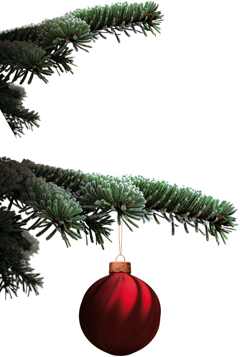 Weihnachtszweig mit Weihnachtskugel