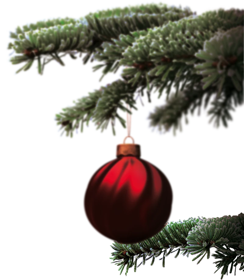 Weihnachtszweig mit Weihnachtskugel